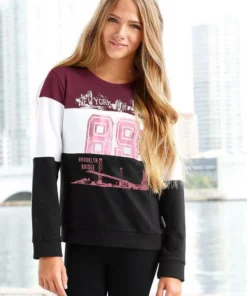 Bench. Sweatshirt in Colorblocking -Bench Verkaufsgeschäft f73ecc1e 8fc0 55e4 a9da f2aa48d00271